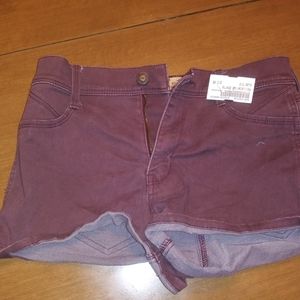 Hollister shorts